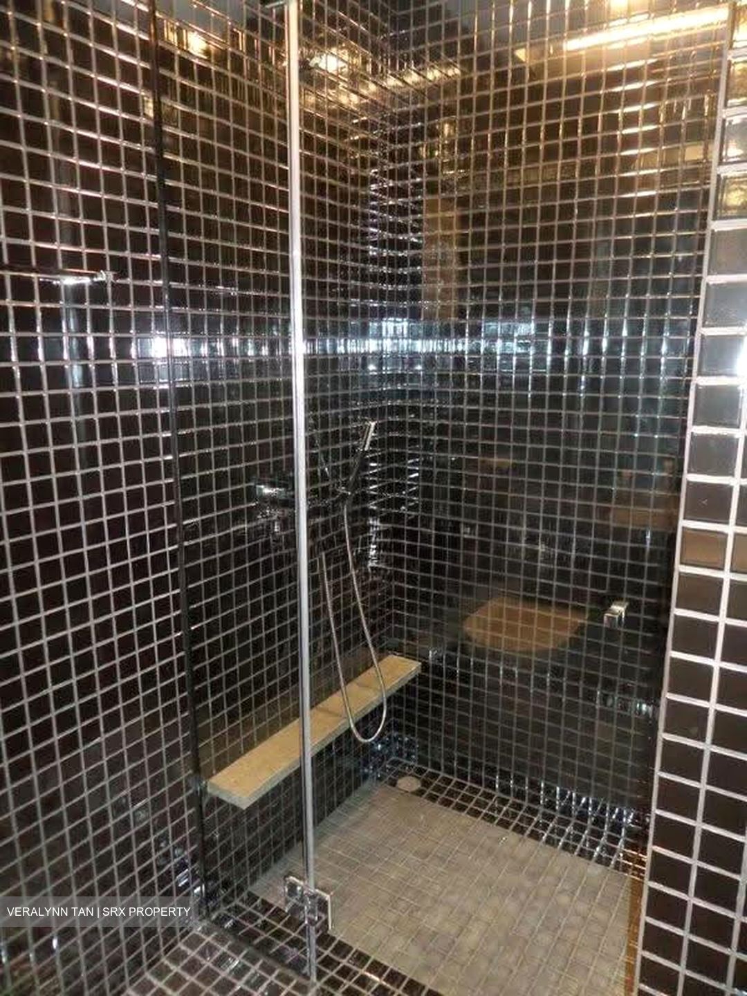 Skysuites@Anson (D2), Apartment #610112601